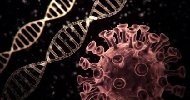 Abstrakt Dna Molekyl Med Coronavirus Koncept Animation — Stockvideo