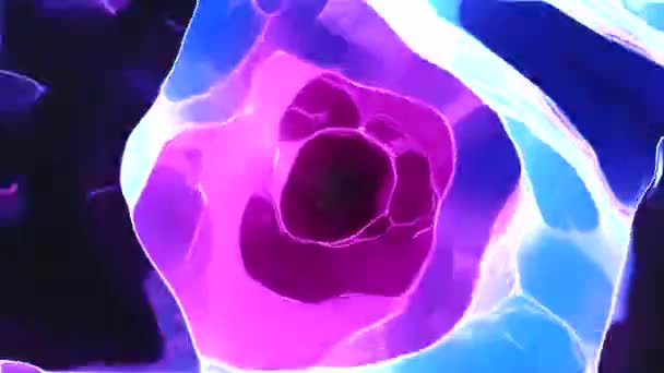 Formes Abstraites Fluides Colorés Concept Animation — Video