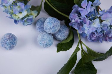 Mavi taze çiçek ortancası yeşil yaprak ve şekerleme mavi şekersiz organik sağlıklı yiyecek lezzeti vücut bakımı fırçala.