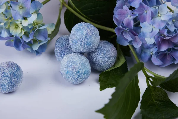 Flor Fresca Azul Hortensia Hoja Verde Dulces Dulces Azúcar Azul — Foto de Stock