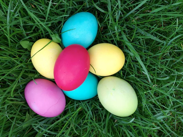 Coloridos huevos de Pascua yacen en una hierba fresca verde brillante — Foto de Stock
