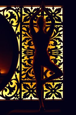 Kadın Yoga pilates Asya sakin ol gölgeler içinde 
