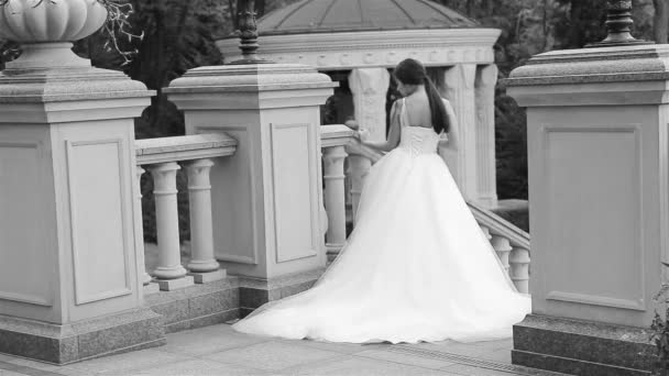 年轻漂亮的女人性感黑发新娘豪华白色婚纱自然城堡夏天幸福在等待着新郎婚礼之前 — 图库视频影像