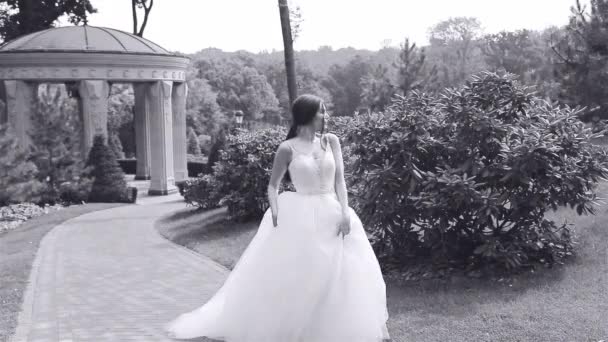 Hermosa mujer joven sexy novia morena en un vestido de novia blanco de lujo la naturaleza Castillo de la felicidad de verano espera al novio antes de la ceremonia de la boda — Vídeos de Stock