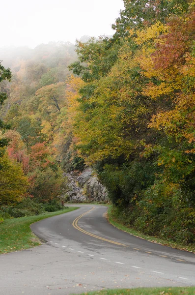 Early Morning Fog on Mountain Road — Stock Photo, Image