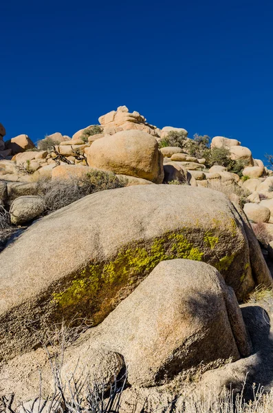 Yeşil yosun ile gevşek Rock dağ — Stok fotoğraf