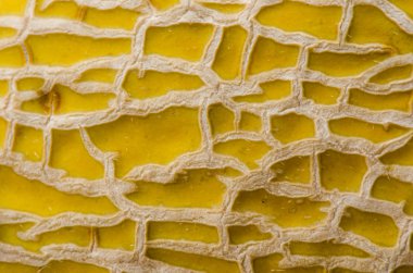 Cantelope deri detay