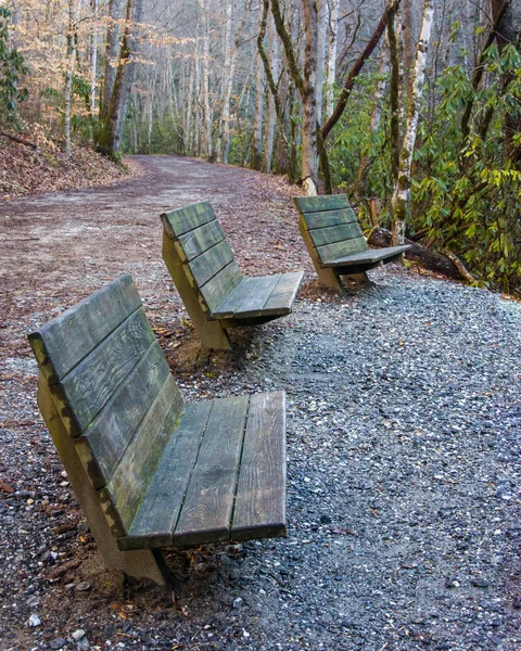 Group of Benches Looking in Same Direction — Stock Photo, Image