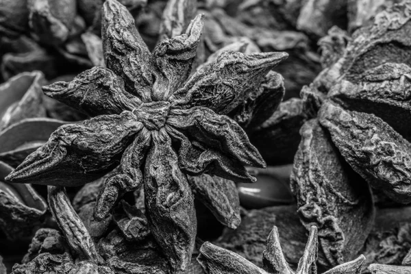 Black and White Focus on Single Star in Group of Star Anise — Stock Photo, Image