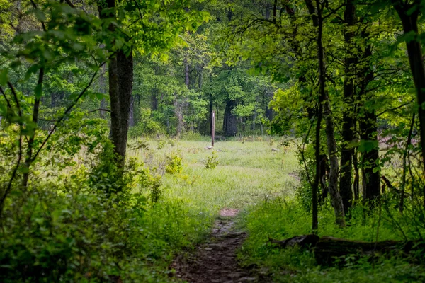 Appalachian iz beyaz takip etmek ormanın yangını çıkma