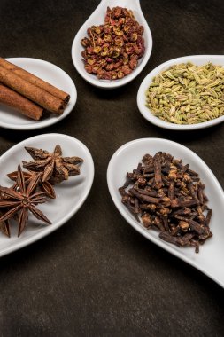 Beş baharat kaşık daire karanfil ve anason