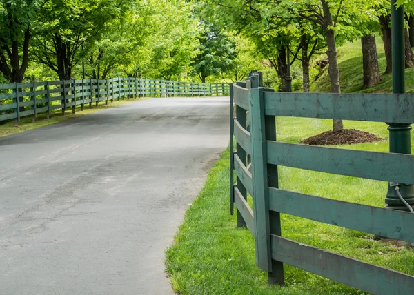 Zelený plot podél silnice — Stock fotografie