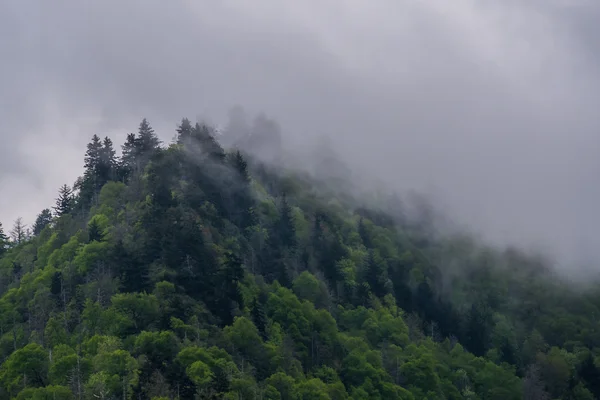 Kreken van de mist In Over Mount Mingus — Stockfoto