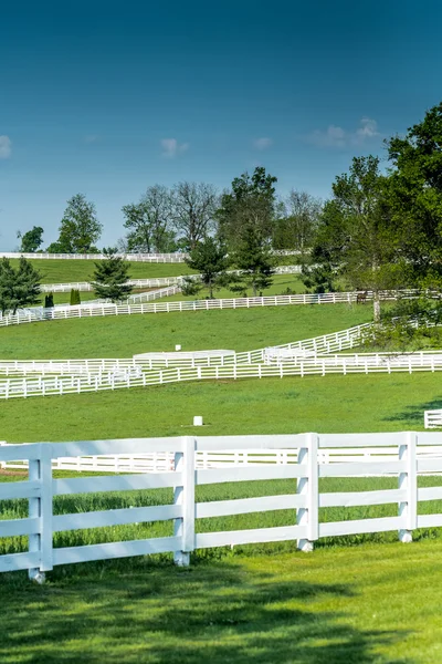 Horse Farm ploty za jasného dne — Stock fotografie