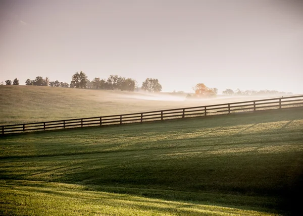 Lunghe ombre di recinzioni di cavalli nella nebbia — Foto Stock