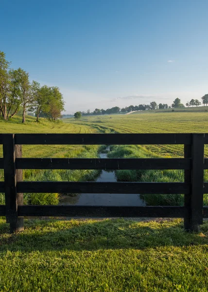 Creek krajinou koně — Stock fotografie