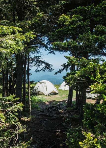 Spännande skog till en hemlig Camping plats — Stockfoto