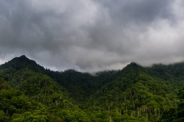 Sis Smokies üzerinde dağlarında sürünür