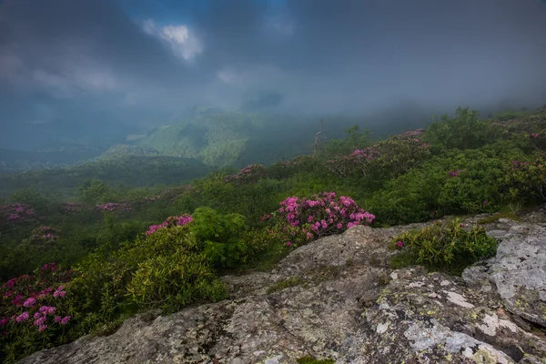 雾在山谷下面的草岭 — 图库照片