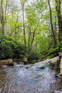 Gökkuşağı Havzası şelaleden aşağı bakıyor