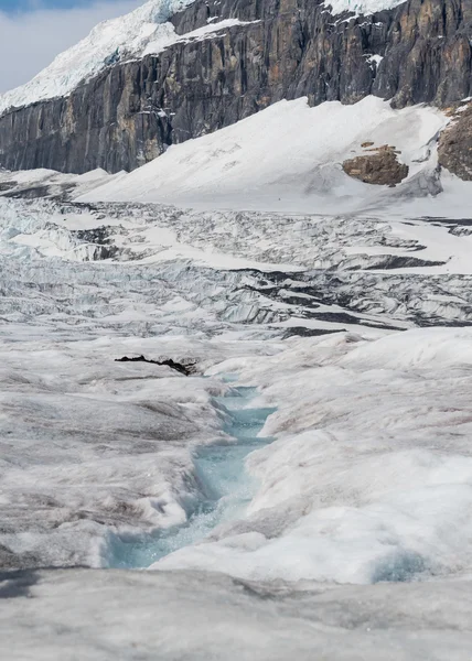 Glaciar Athabasca com Campo de Gelo Columbia — Fotografia de Stock