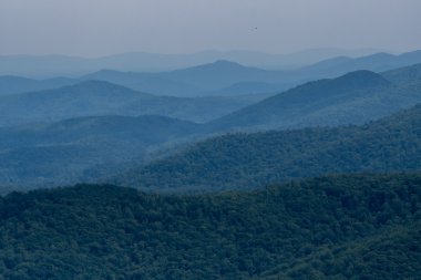 Virginia dağlarda katmanları