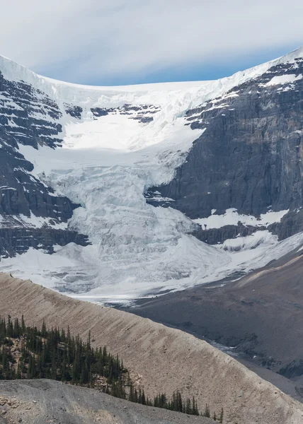 Ледник Андромеды стекает в долину — стоковое фото