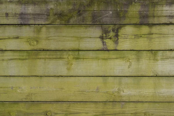 绿色的海藻覆盖木板墙 — 图库照片