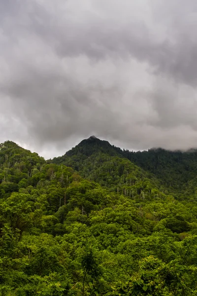 Sis ve Mount Mingus dikey — Stok fotoğraf