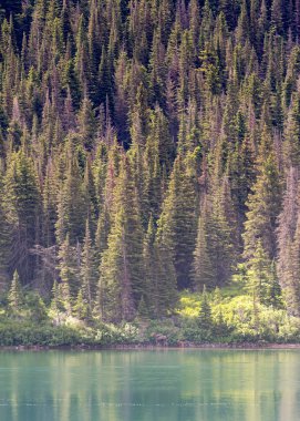 Anne ve bebek Mus Gölü kıyısında