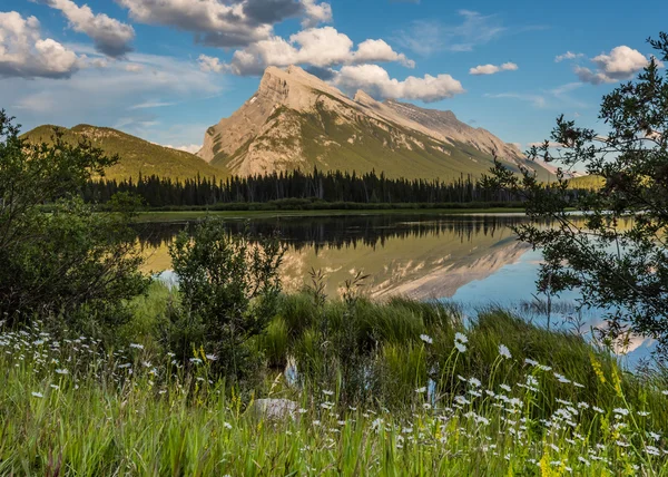 Wildblumen und Mt. Rundle an zinnoberroten Seen — Stockfoto