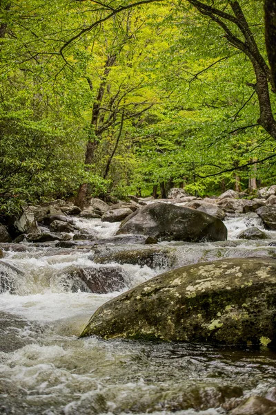 Creek Running cerca de la zona de picnic — Foto de Stock