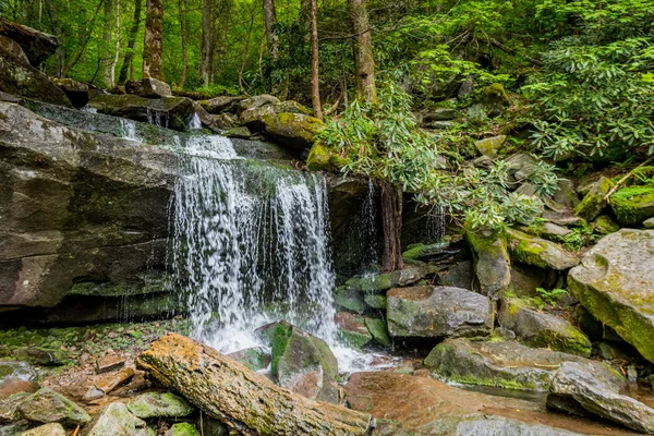 Side View of Waterfall on Hike to Rainbow Falls