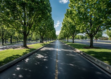 Bırakarak yol Keeneland