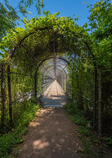 Appalachian Trail Cage Tunnel Over Bridge — Stock Photo, Image