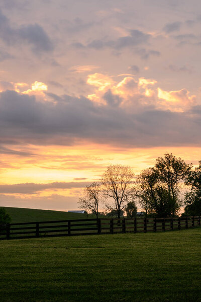 Sun Rises Over Horse Farm Fields in countryside