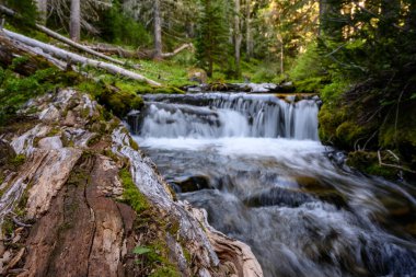 Yaz aylarında Dağ Kayalıkları 'ndan su taşar.