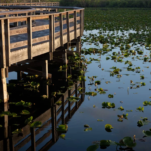 Passerelle Serpents Travers Eau — Photo