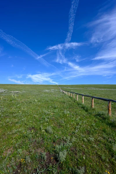 Ξύλινα Fence Εκτείνεται Όλο Πράσινο Πεδίο Την Καλοκαιρινή Ημέρα — Φωτογραφία Αρχείου