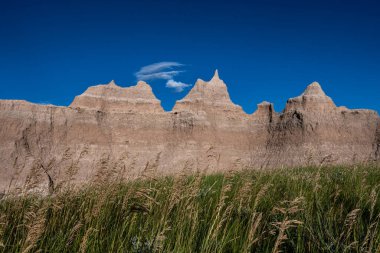 Yaz sonu otları Yazın Badland Büyüsünün Önünde