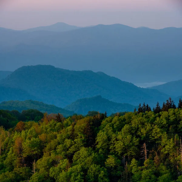 Strati Dei Fumogeni All Alba Newfound Gap — Foto Stock