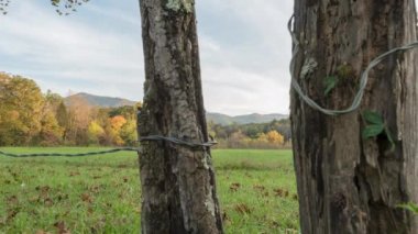 Zaman Hızlandırılmış Dumanlar Koyu Çitini Katladı