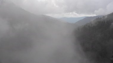 Sis Dumanlarda Düşük Sallanıyor