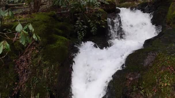 Husky Branch Falls Close — Stock video