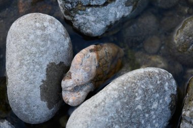 Dağ Deresi 'ndeki Kayalıklar Suyun Üzerinde