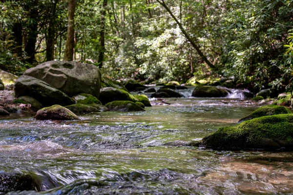 Słońce Podkreśla Mossy Rocks West Prong Creek — Zdjęcie stockowe