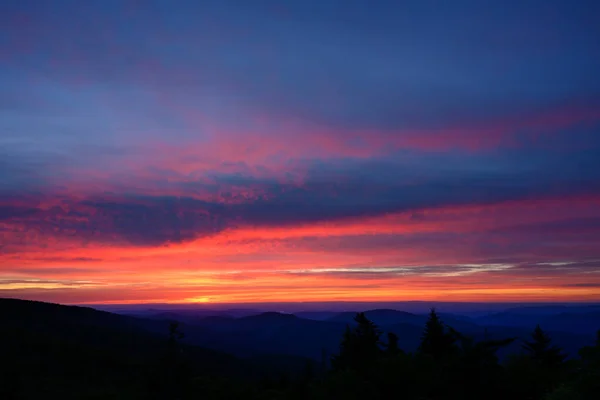 夕阳西下的蓝岭松树和山脉 — 图库照片