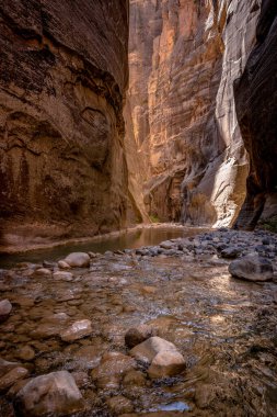 Su Zion Ulusal Parkı 'ndaki Dar Yol' da Akıyor