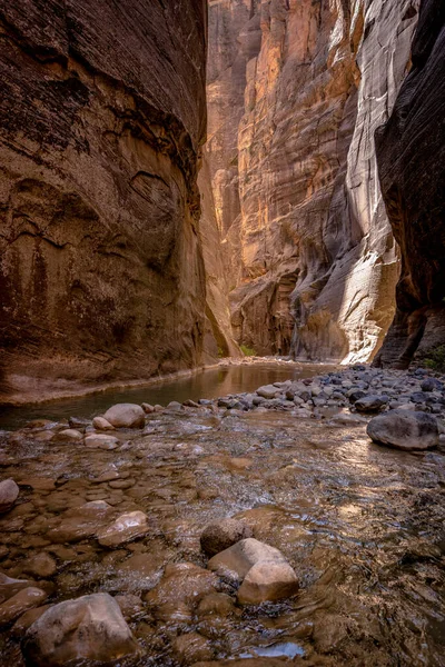 Água Corre Torno Rocha Exposta Nas Setas Parque Nacional Zion — Fotografia de Stock