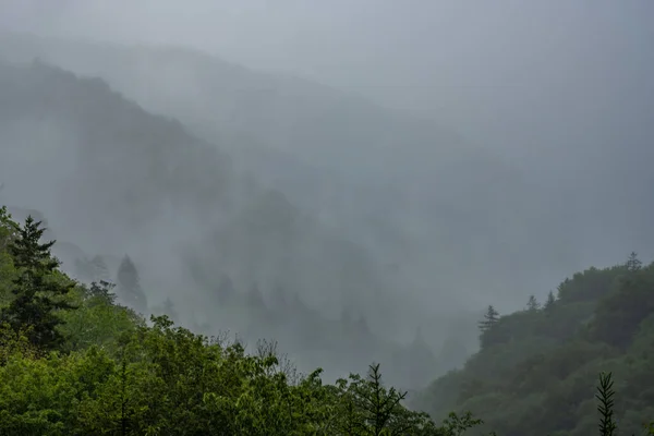 Mgła Wieje Między Warstwami Gór Smoky Mountains — Zdjęcie stockowe